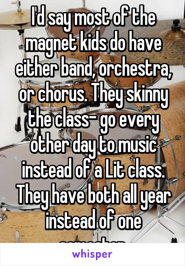 I'd say most of the magnet kids do have either band, orchestra, or chorus. They skinny the class- go every other day to music instead of a Lit class. They have both all year instead of one semester.