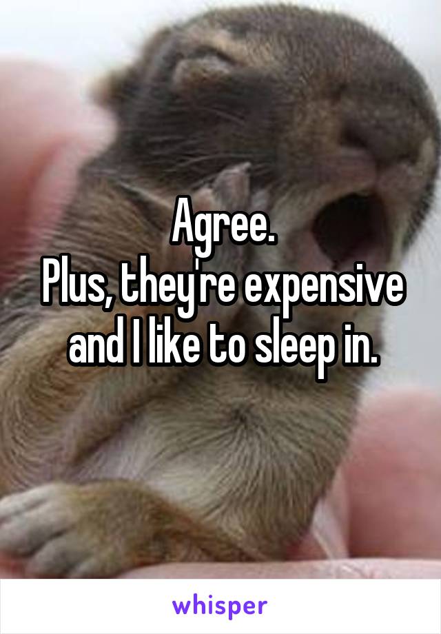 Agree.
Plus, they're expensive and I like to sleep in.
