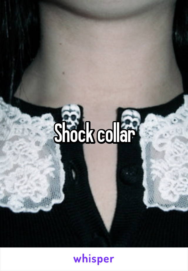 Shock collar