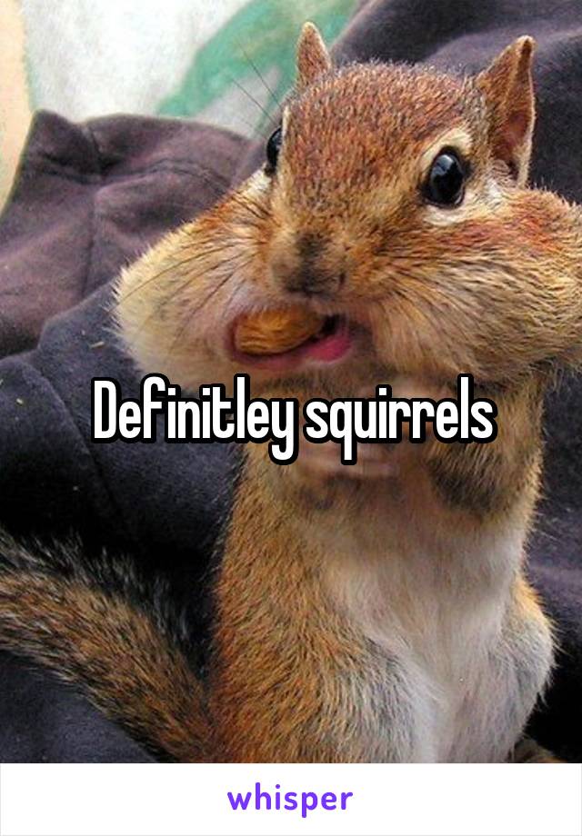 Definitley squirrels
