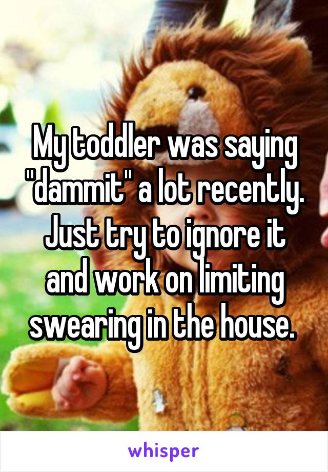 My toddler was saying "dammit" a lot recently. Just try to ignore it and work on limiting swearing in the house. 