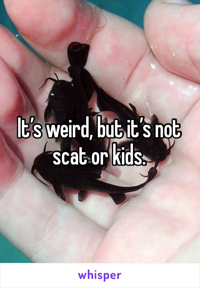 It’s weird, but it’s not scat or kids. 