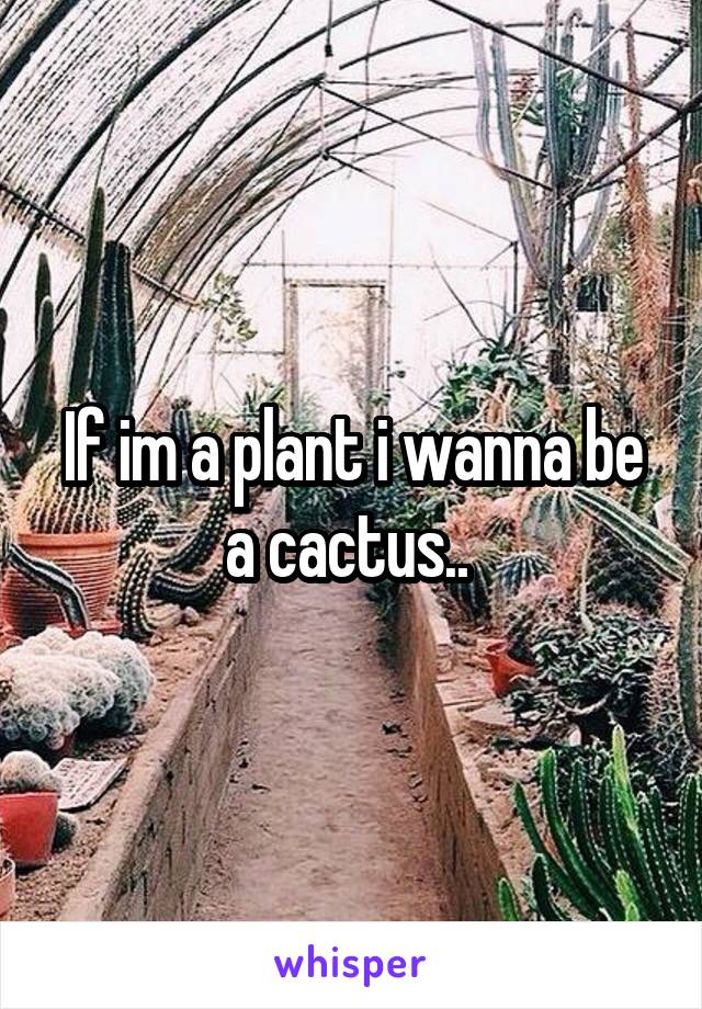 If im a plant i wanna be a cactus.. 