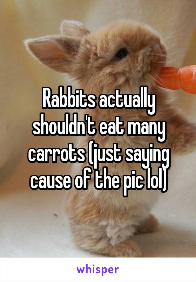 Rabbits actually shouldn't eat many carrots (just saying cause of the pic lol)
