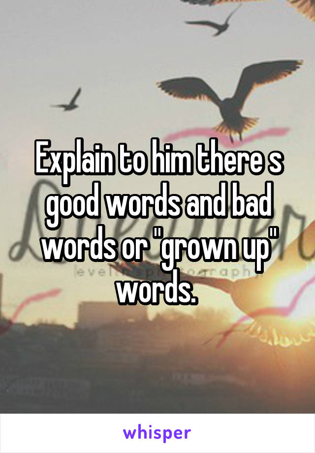 Explain to him there s good words and bad words or "grown up" words. 