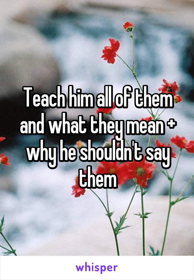 Teach him all of them and what they mean + why he shouldn't say them