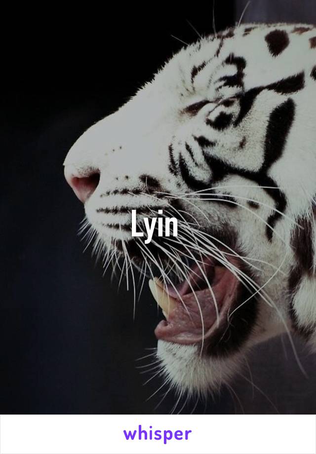 Lyin 