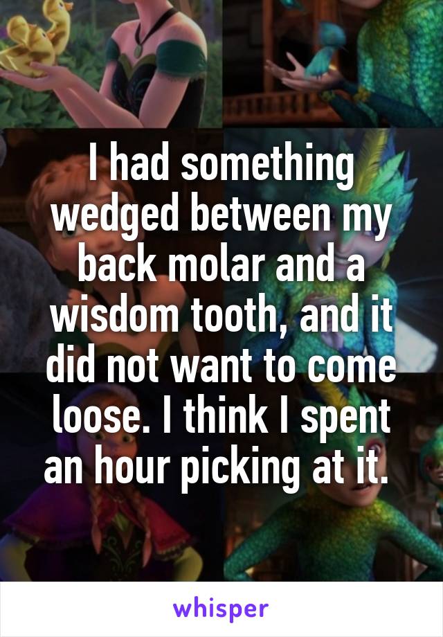 I had something wedged between my back molar and a wisdom tooth, and it did not want to come loose. I think I spent an hour picking at it. 