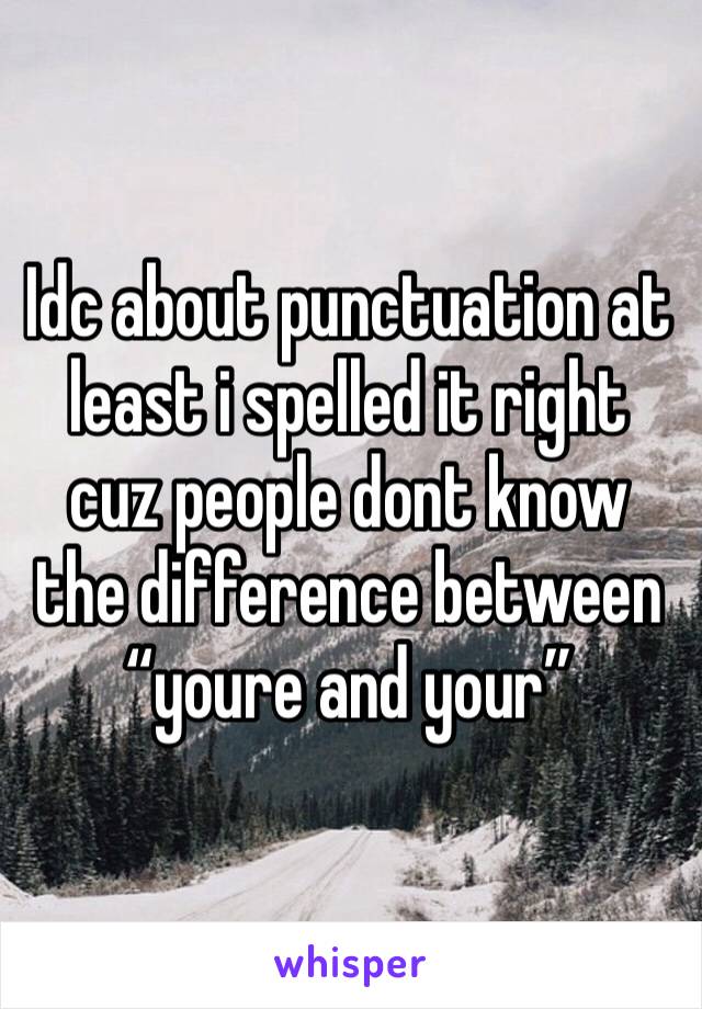 Idc about punctuation at least i spelled it right cuz people dont know the difference between “youre and your” 