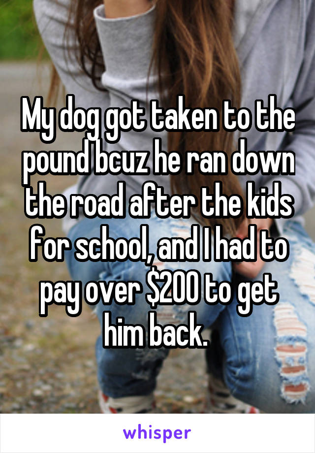 My dog got taken to the pound bcuz he ran down the road after the kids for school, and I had to pay over $200 to get him back. 