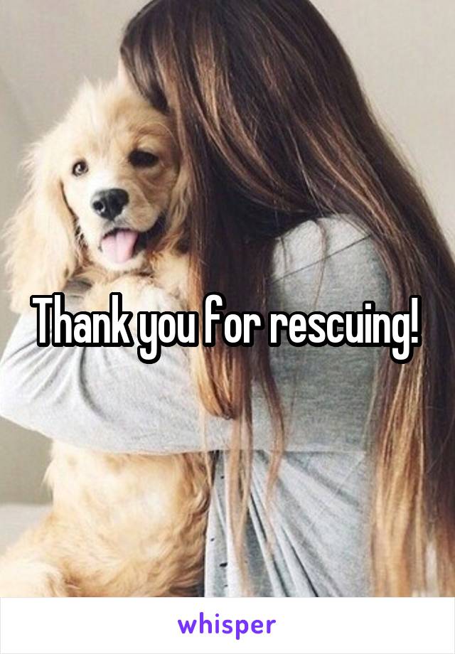 Thank you for rescuing! 