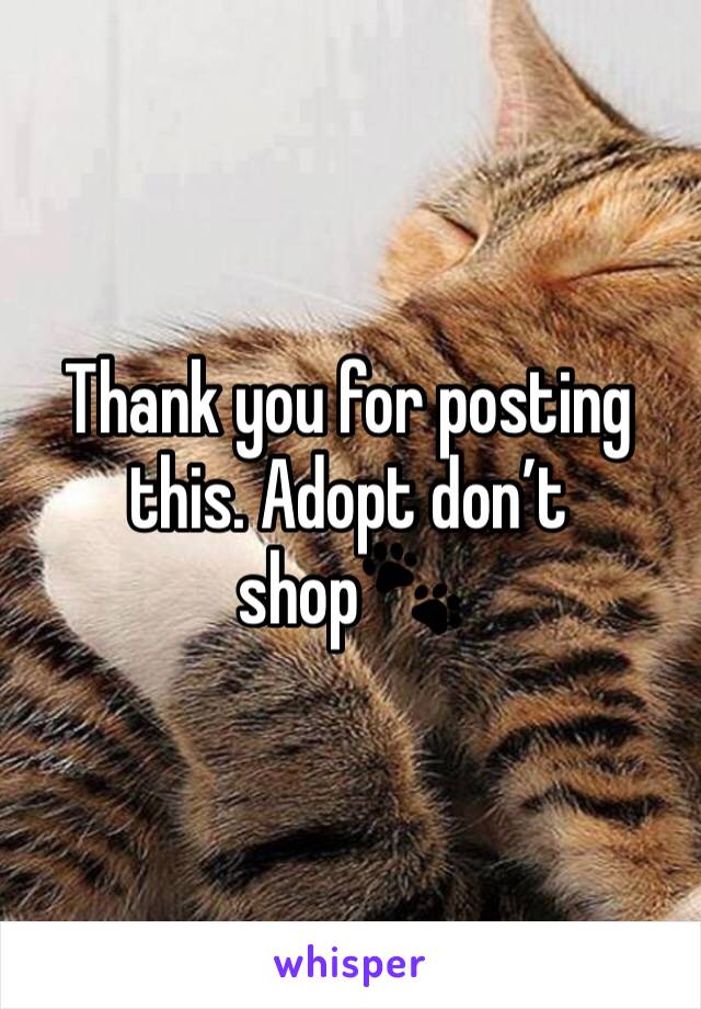 Thank you for posting this. Adopt don’t shop🐾