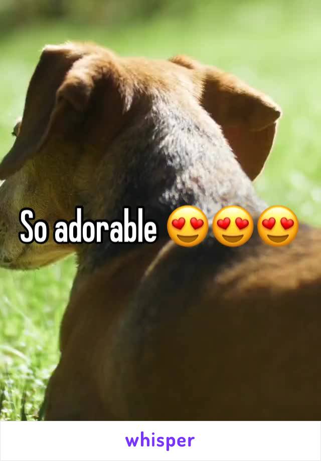 So adorable 😍😍😍