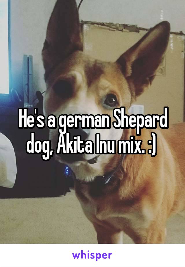 He's a german Shepard dog, Akita Inu mix. :) 