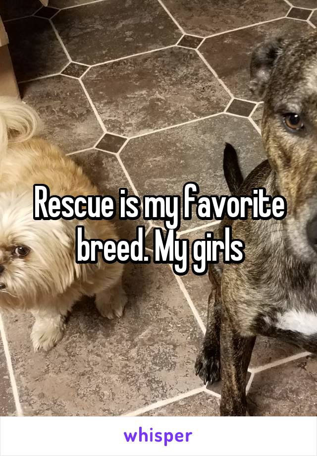 Rescue is my favorite breed. My girls