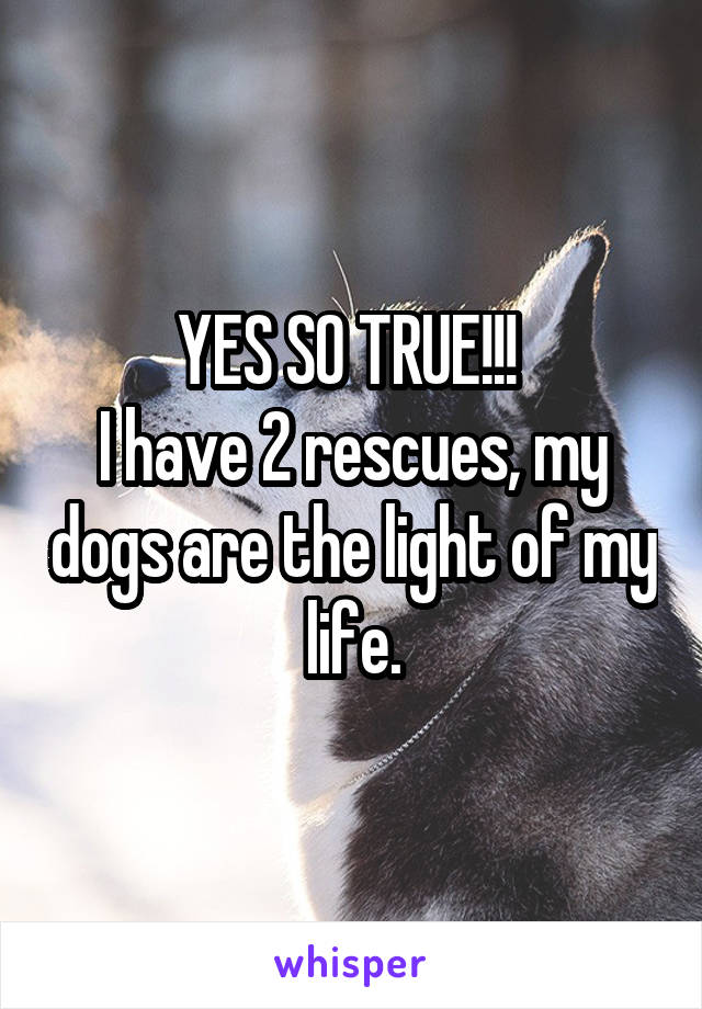 YES SO TRUE!!! 
I have 2 rescues, my dogs are the light of my life.