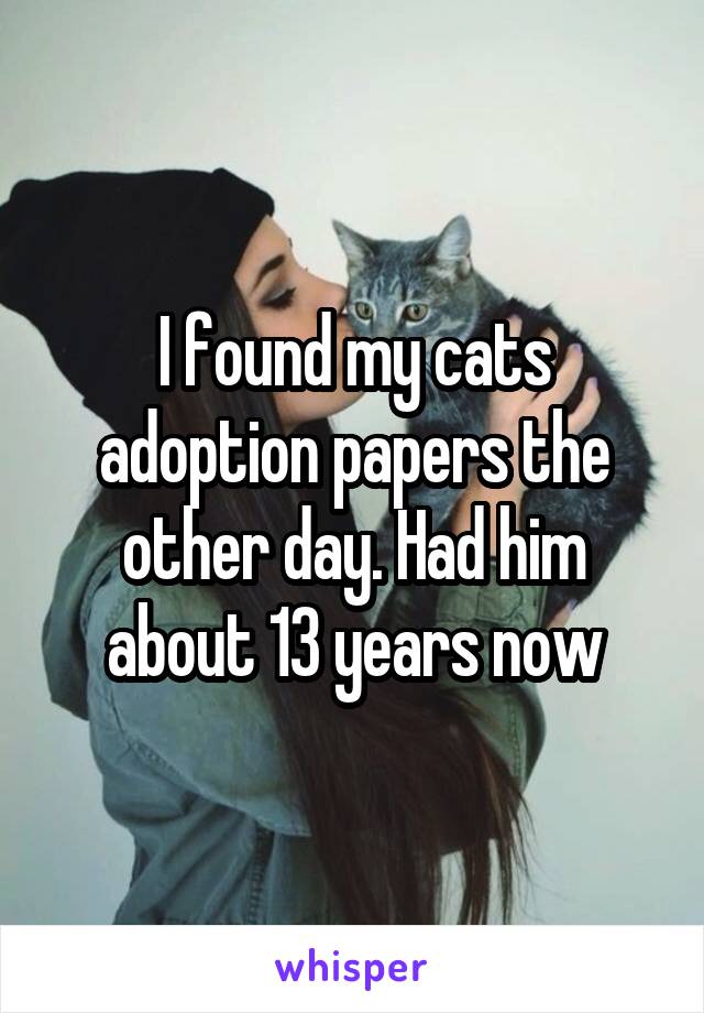 I found my cats adoption papers the other day. Had him about 13 years now