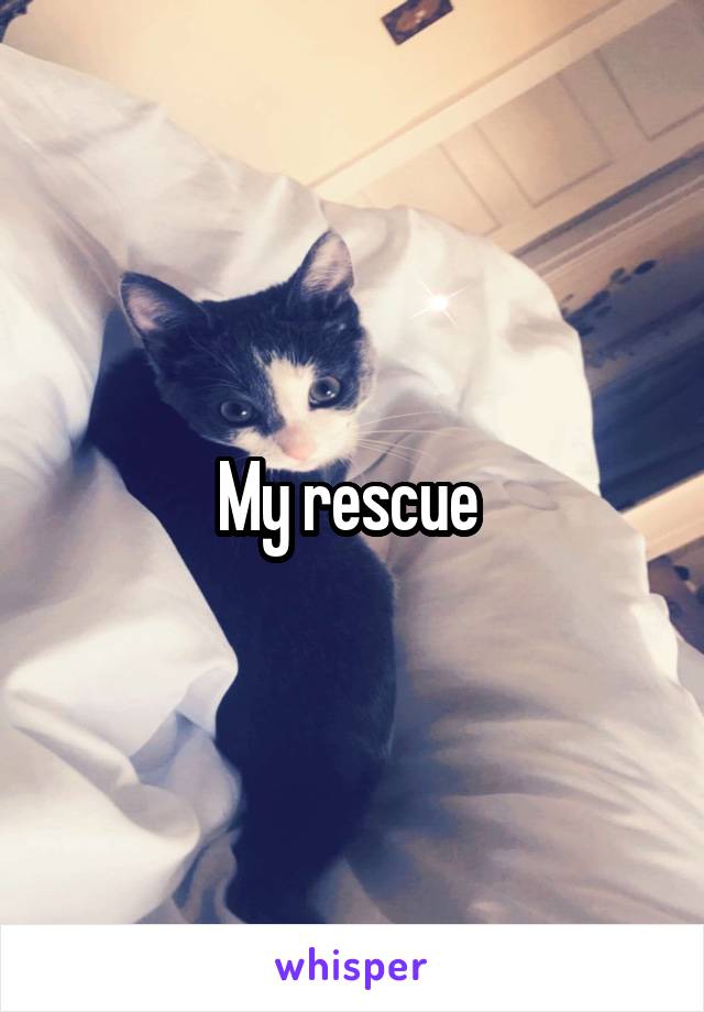 My rescue 