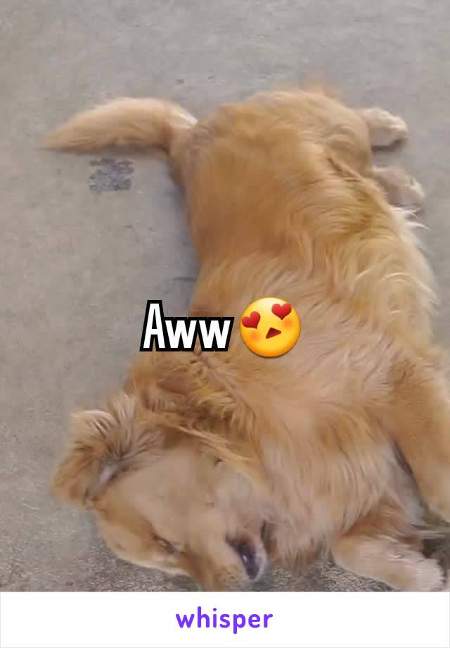 Aww😍