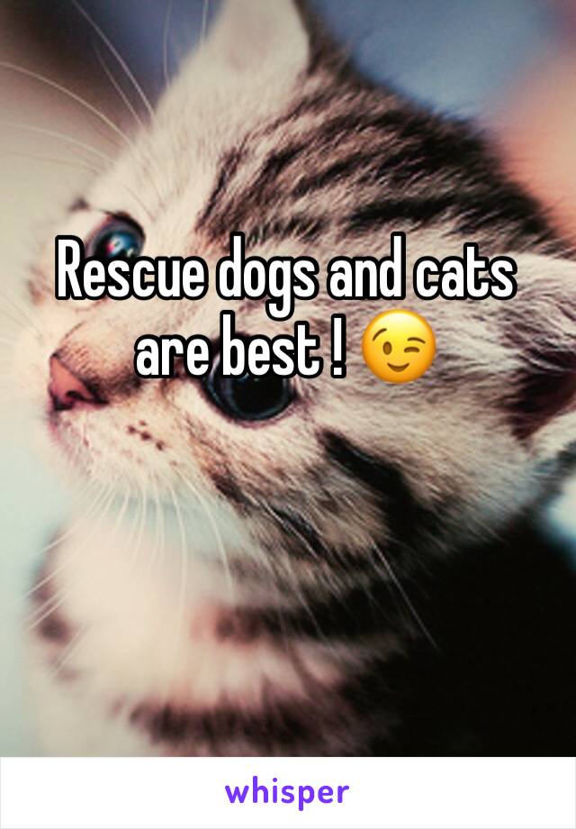 Rescue dogs and cats are best ! 😉