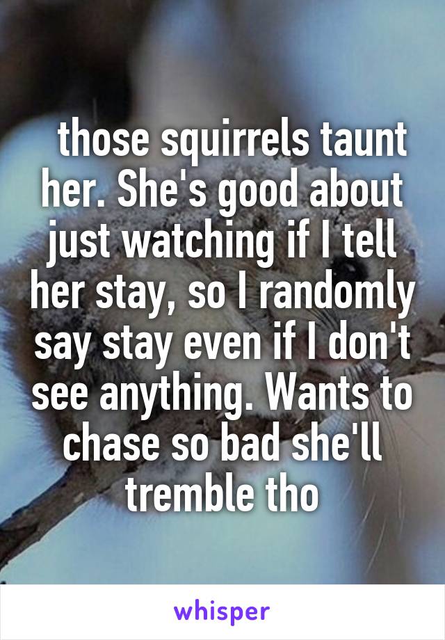   those squirrels taunt her. She's good about just watching if I tell her stay, so I randomly say stay even if I don't see anything. Wants to chase so bad she'll tremble tho