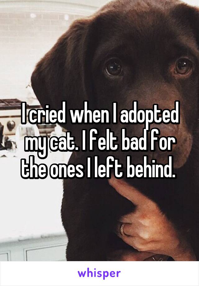 I cried when I adopted my cat. I felt bad for the ones I left behind. 