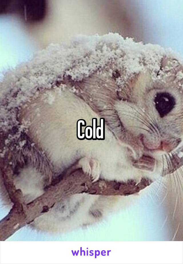 Cold 