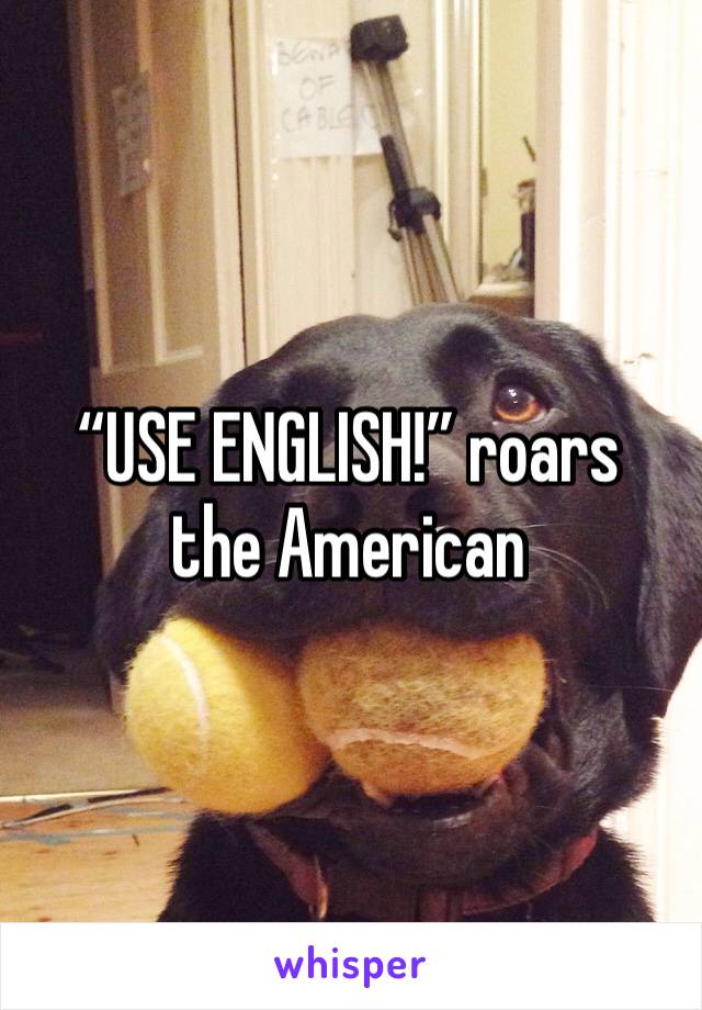 “USE ENGLISH!” roars the American