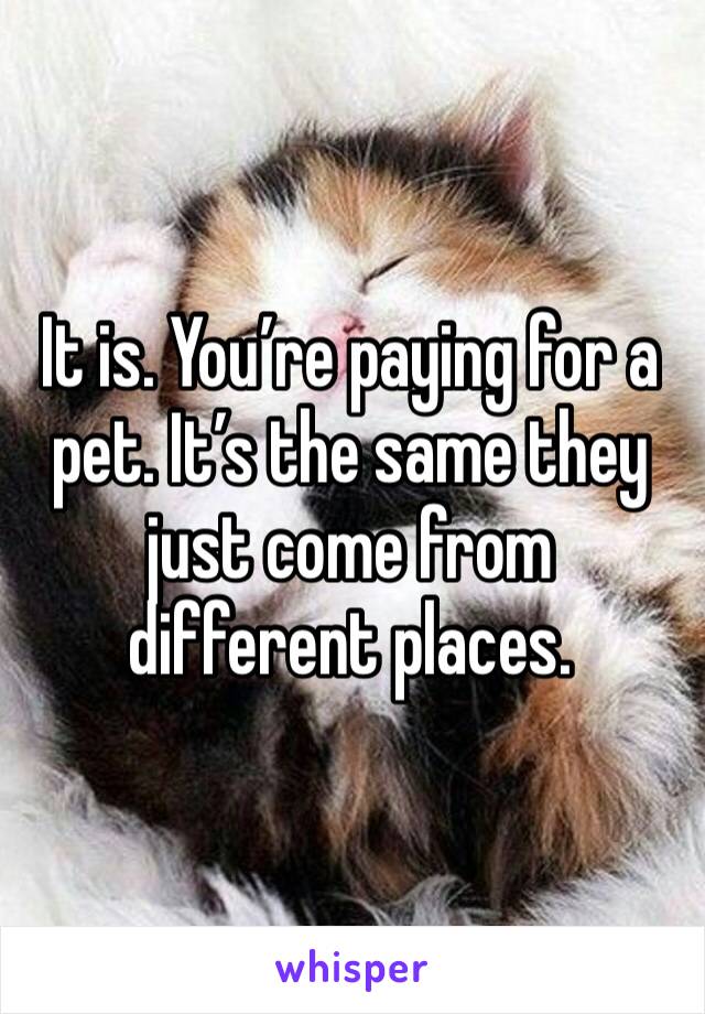 It is. You’re paying for a pet. It’s the same they just come from different places. 