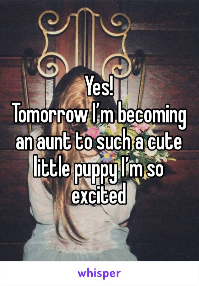 Yes! 
Tomorrow I’m becoming an aunt to such a cute little puppy I’m so excited 