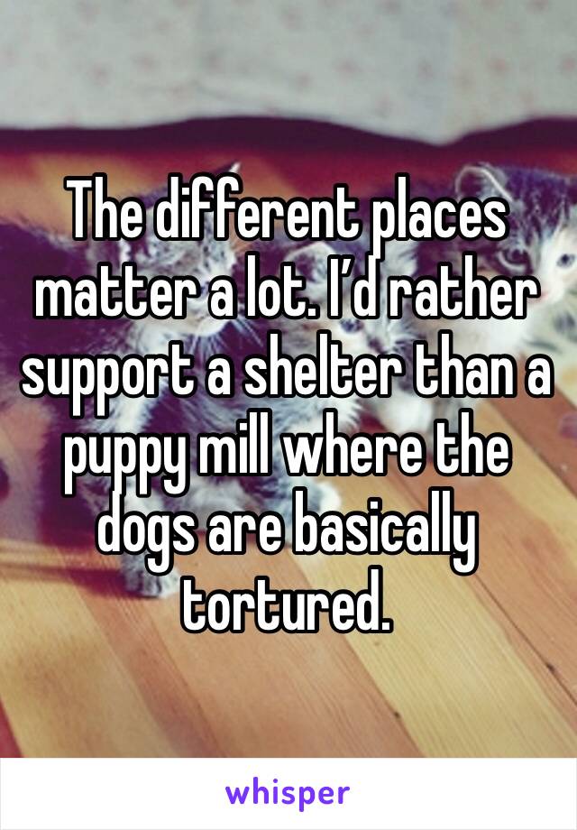 The different places matter a lot. I’d rather support a shelter than a puppy mill where the dogs are basically tortured.