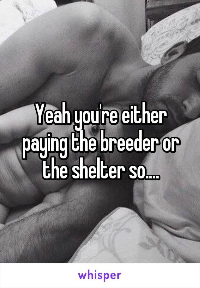 Yeah you're either paying the breeder or the shelter so....