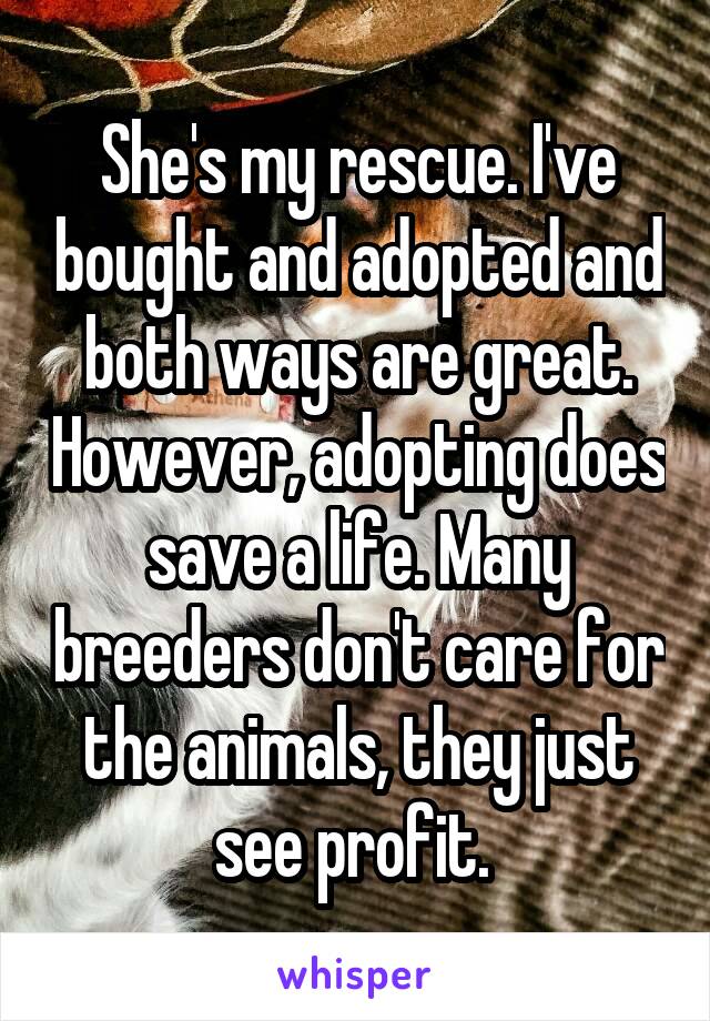 She's my rescue. I've bought and adopted and both ways are great. However, adopting does save a life. Many breeders don't care for the animals, they just see profit. 