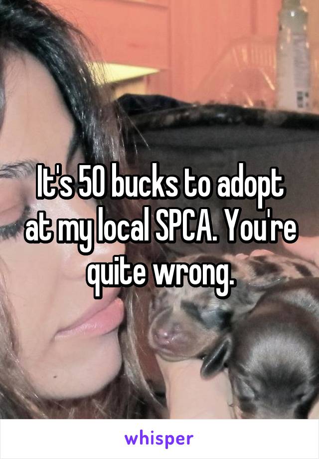 It's 50 bucks to adopt at my local SPCA. You're quite wrong.