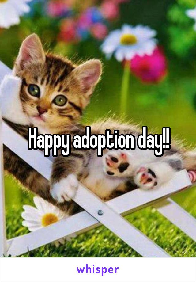 Happy adoption day!!