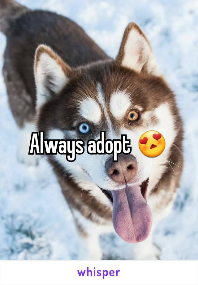 Always adopt 😍