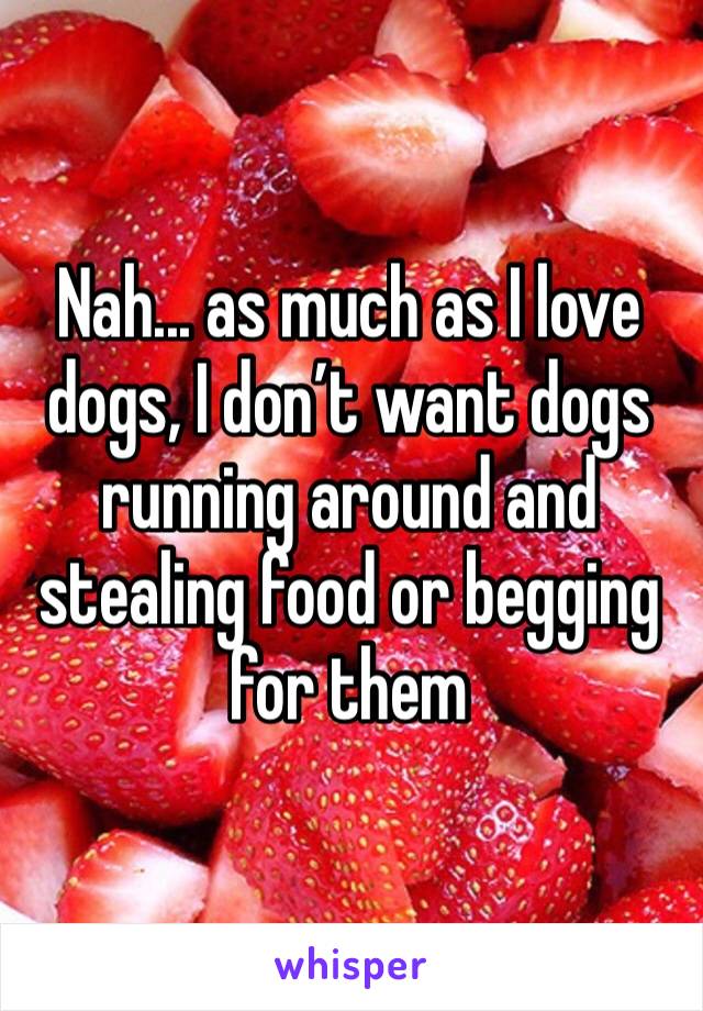 Nah... as much as I love dogs, I don’t want dogs running around and stealing food or begging for them
