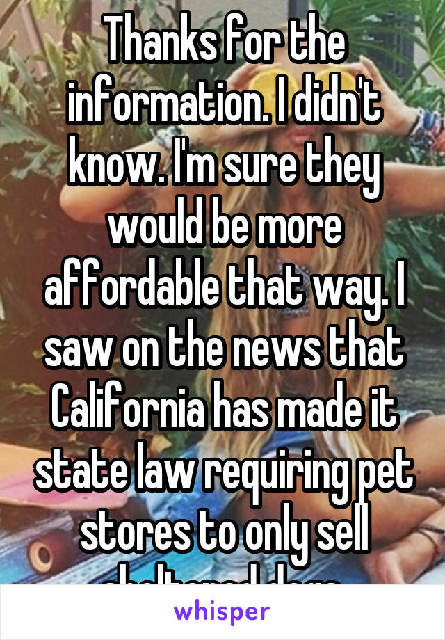 Thanks for the information. I didn't know. I'm sure they would be more affordable that way. I saw on the news that California has made it state law requiring pet stores to only sell sheltered dogs.