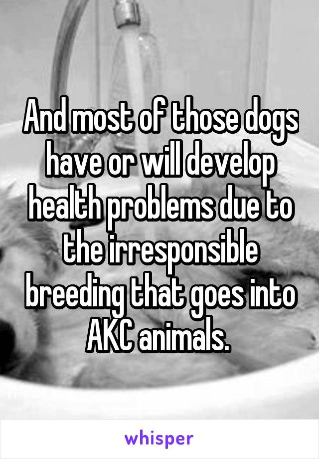 And most of those dogs have or will develop health problems due to the irresponsible breeding that goes into AKC animals. 