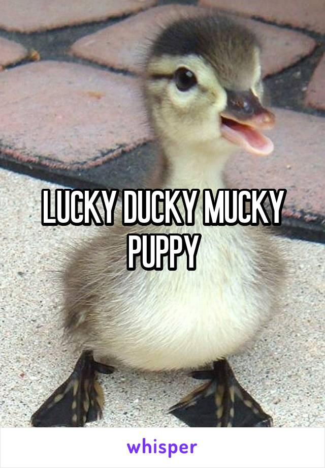 LUCKY DUCKY MUCKY PUPPY