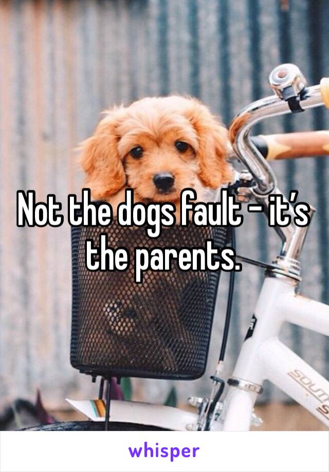 Not the dogs fault - it’s the parents. 