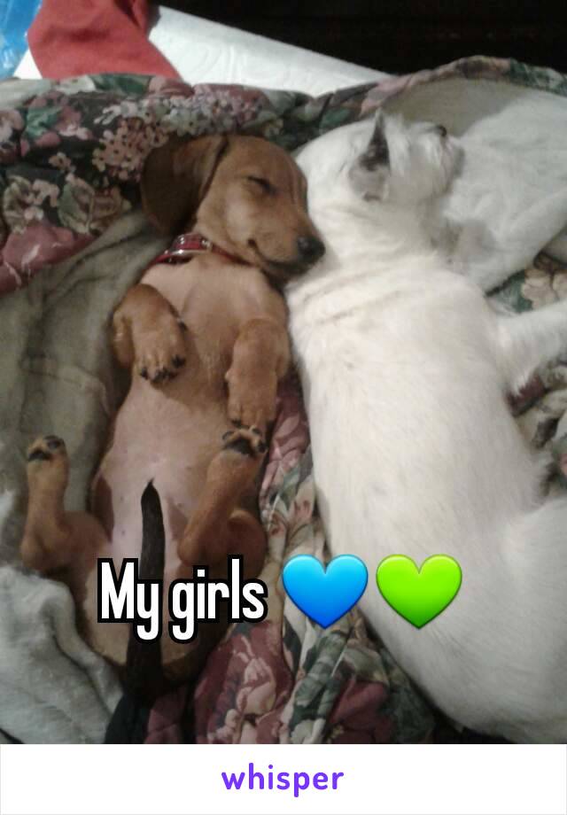 My girls 💙💚