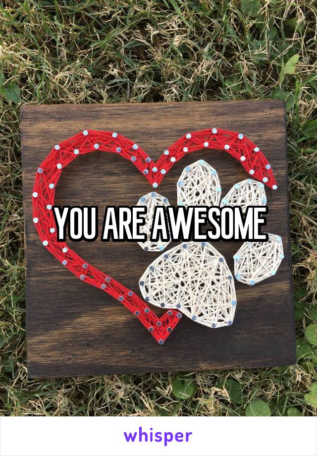 YOU ARE AWESOME