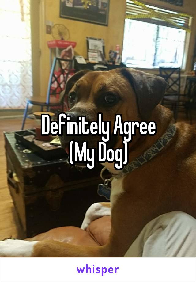 Definitely Agree
(My Dog)