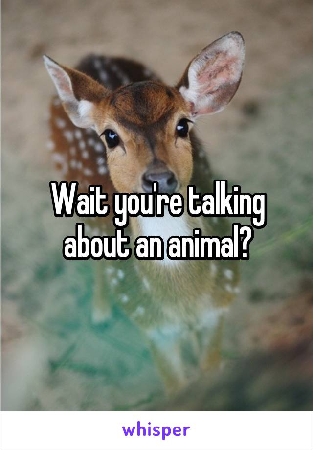 Wait you're talking about an animal?