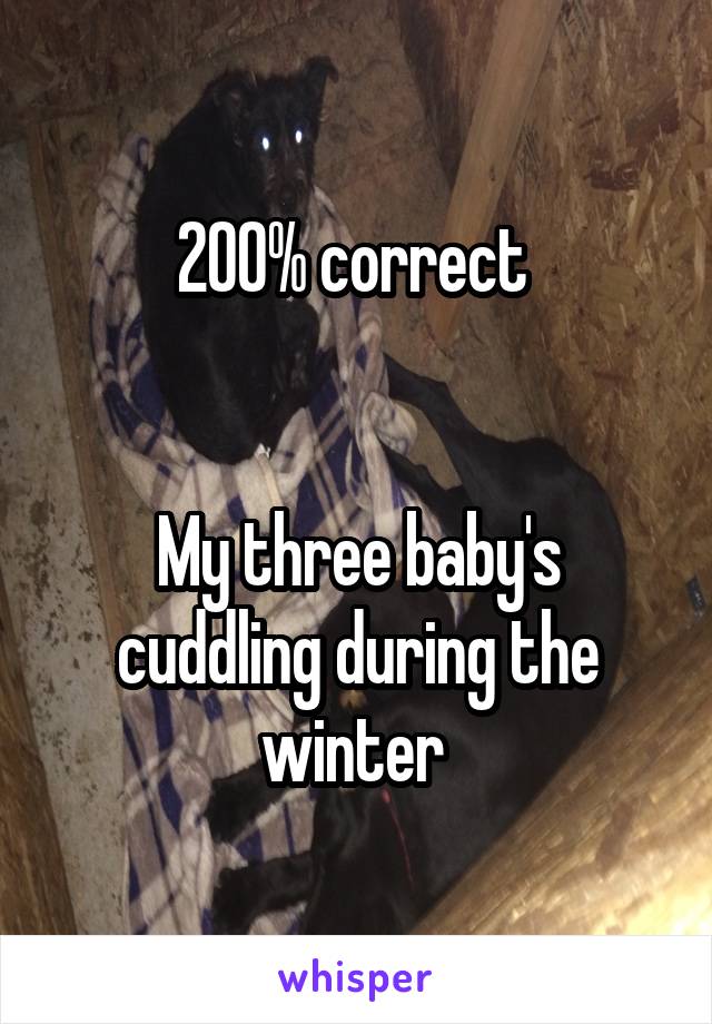 200% correct 


My three baby's cuddling during the winter 