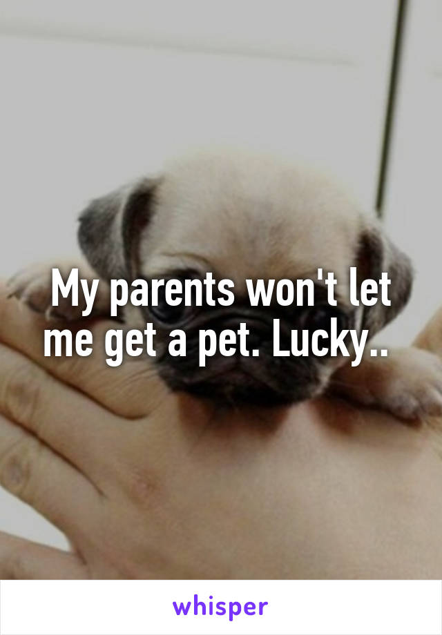 My parents won't let me get a pet. Lucky.. 