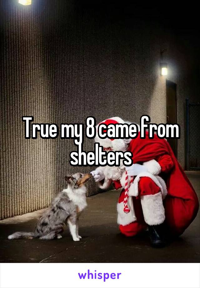 True my 8 came from shelters