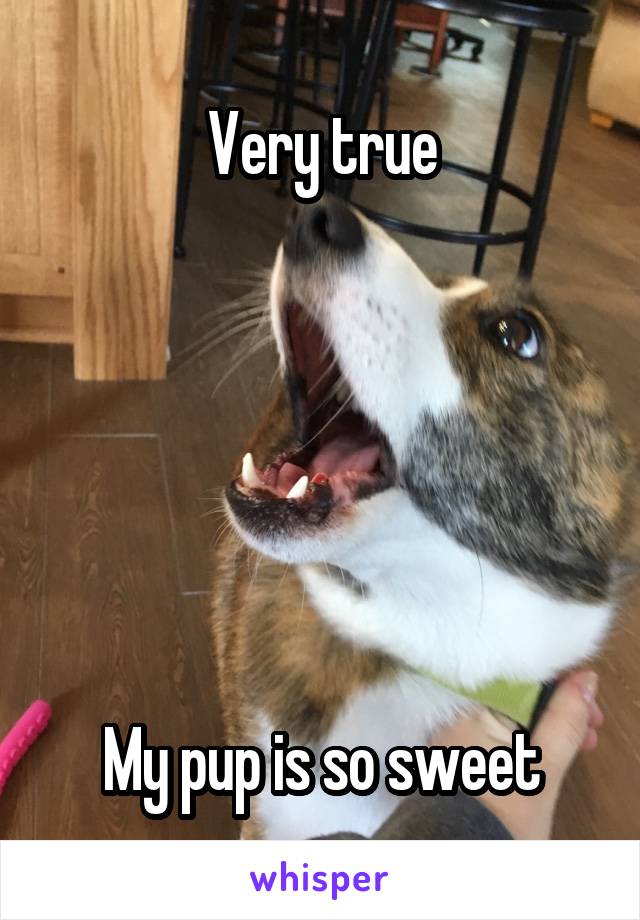 Very true






My pup is so sweet