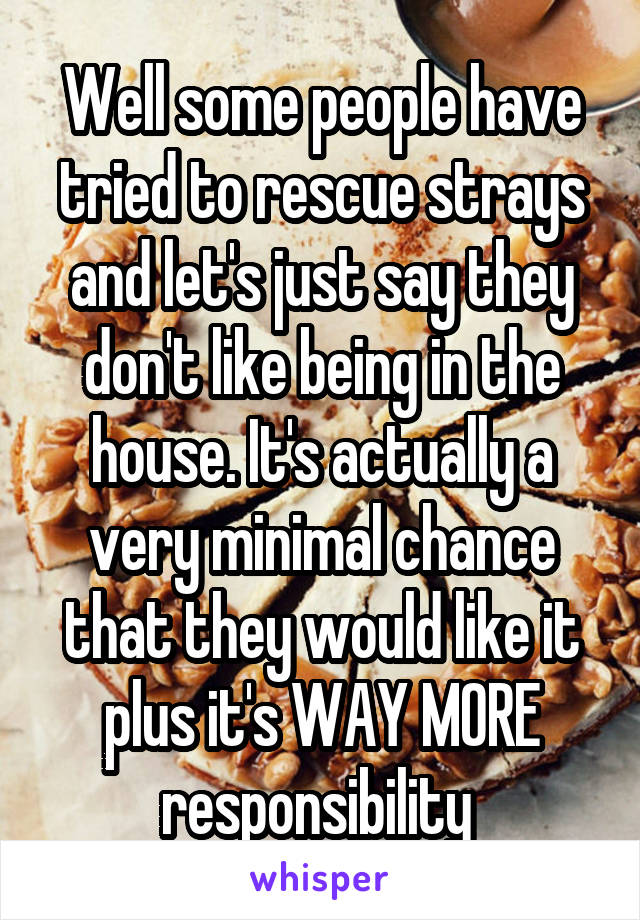 Well some people have tried to rescue strays and let's just say they don't like being in the house. It's actually a very minimal chance that they would like it plus it's WAY MORE responsibility 